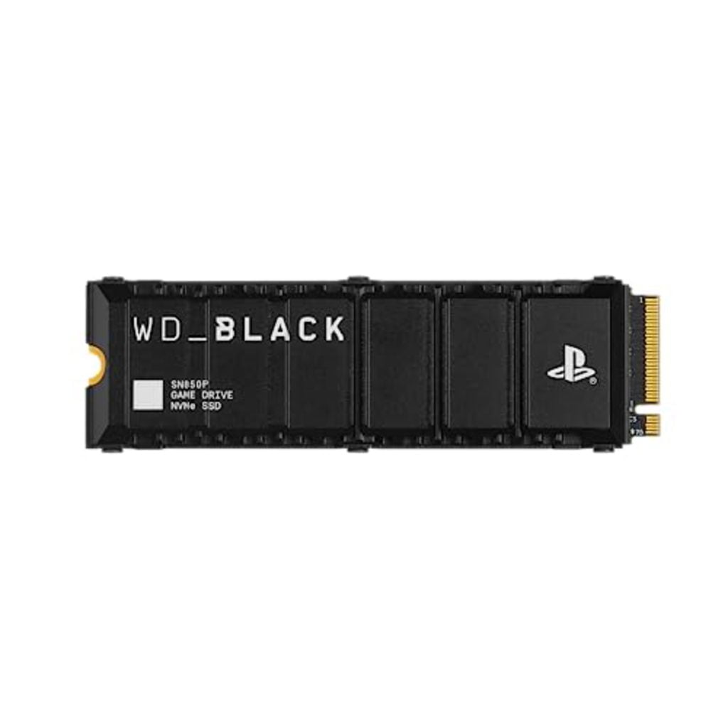 SanDisk SN850P M.2 1 TB PCI Express 4.0 NVMe