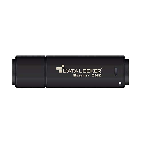 DataLocker Sentry One Encrypted FIPS 140-2 Level 3 16GB Flash Drive