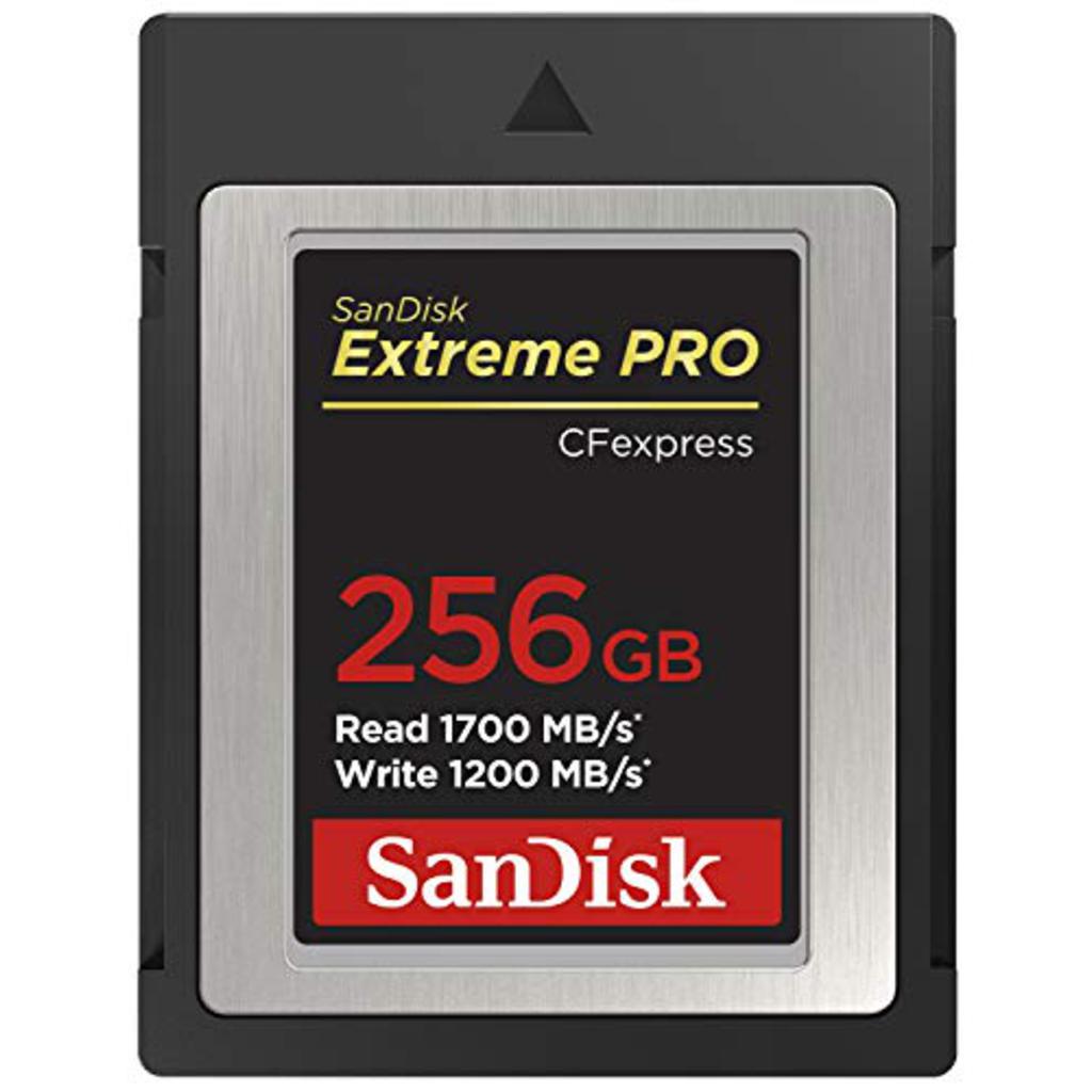 SanDisk SDCFE-256G-GN4NN memory card 256 GB CFexpress