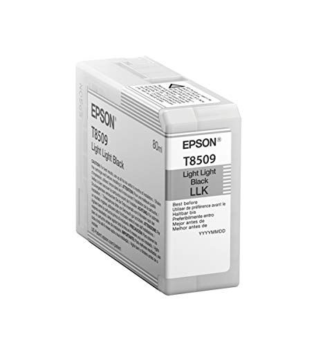 Epson T850900 ink cartridge 1 pc(s) Original
