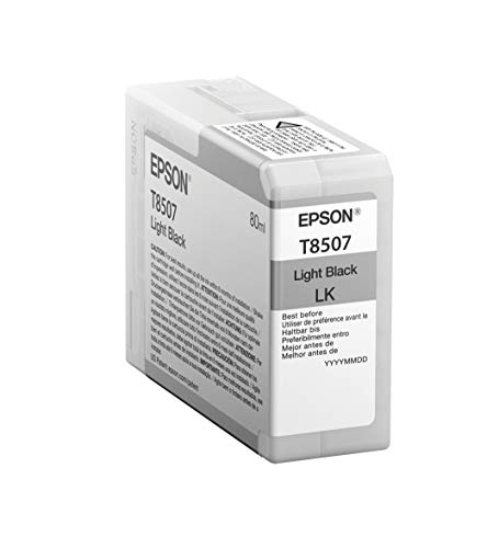 Epson T850700 ink cartridge 1 pc(s) Original