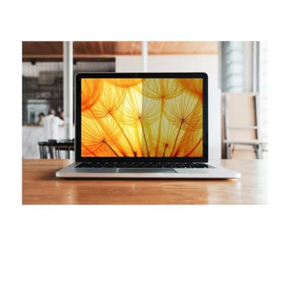 3M Bright Screen Privacy Filter - Notebook privacy filter (horizontal) - 16"
