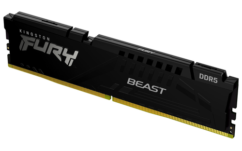 Kingston Technology FURY Beast memory module 1 x 16 GB 3000 MHz