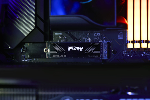 Kingston Technology FURY Renegade G5 1.02 TB PCI Express 5.0 3D TLC - Image 12