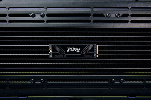 Kingston Technology FURY Renegade G5 1.02 TB PCI Express 5.0 3D TLC - Image 6