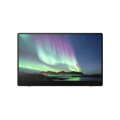 Ricoh 150BW Black 39.6 cm (15.6") LED 1920 x 1080 pixels