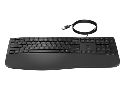 HP 480 Comfort Wired keyboard Home USB Black