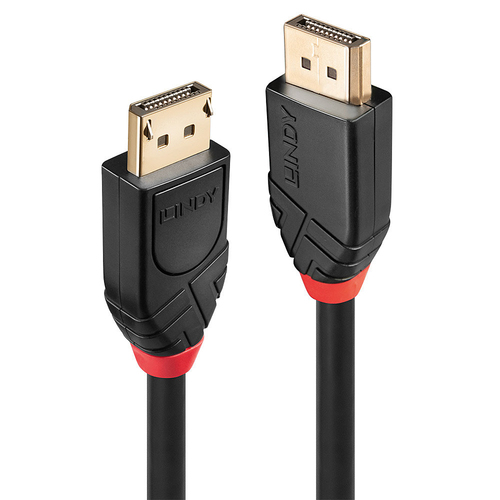 Lindy 41078 DisplayPort cable Black