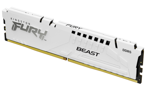 Kingston Technology FURY Beast memory module 1 x 16 GB 6000 MT/s 288-pin DIMM
