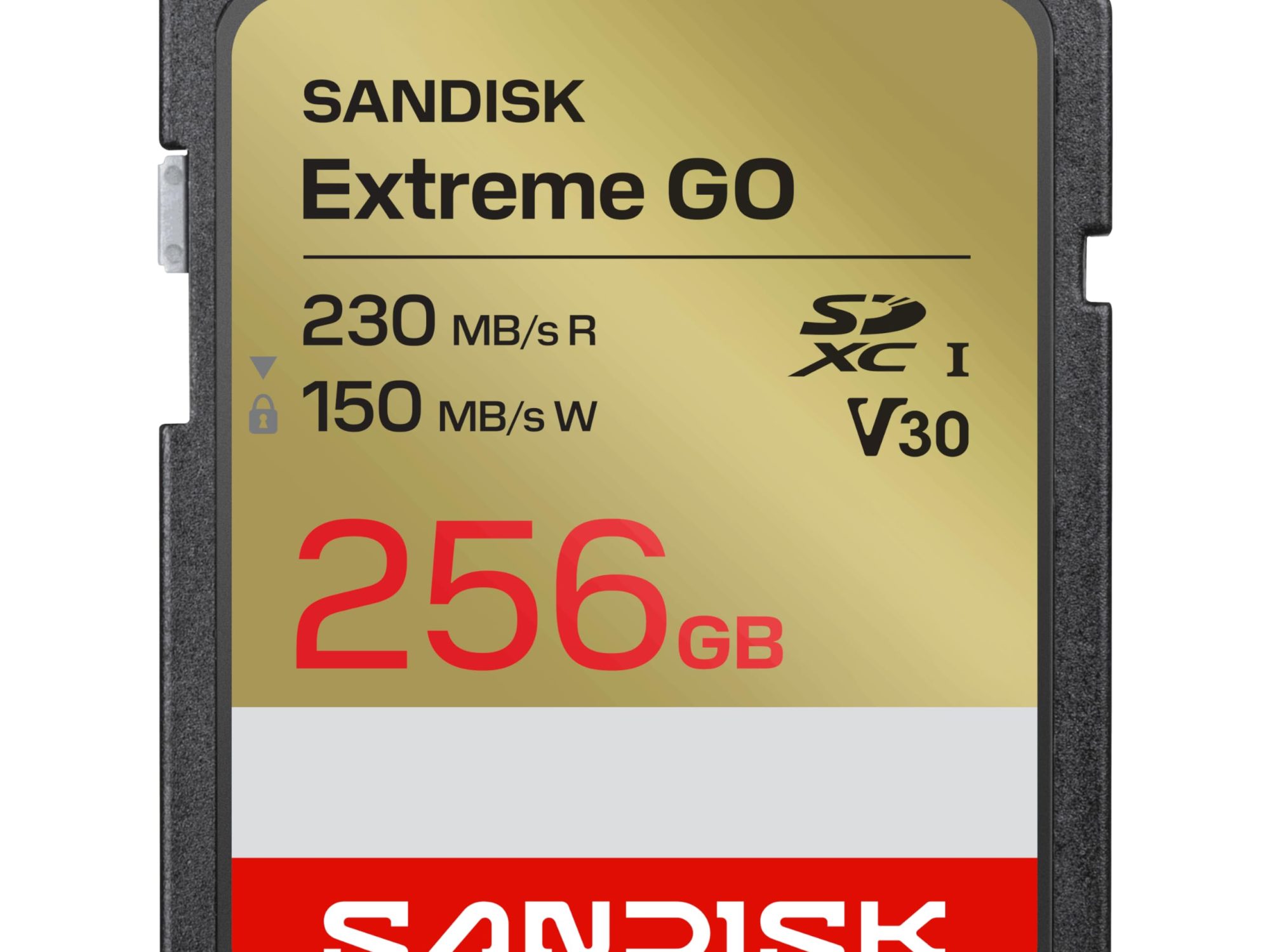 SanDisk Extreme Go - Flash memory card - 256 GB - Video Class V30 / UHS-I U3 - SDXC UHS-I
